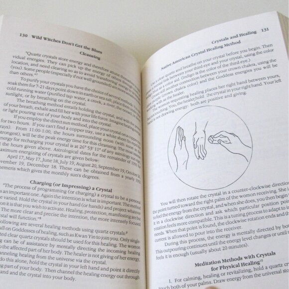 Wild Witches Don't Get The Blues Paperback Book Ffiona Morgan Wicca 1991 - Picture 6 of 9